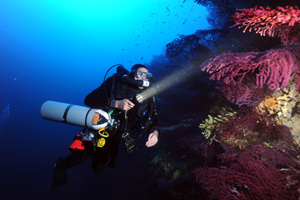 Rebreathers