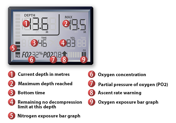 Dive Computer