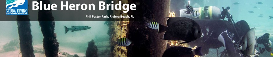 Blue Heron Bridge Tide Chart 2017