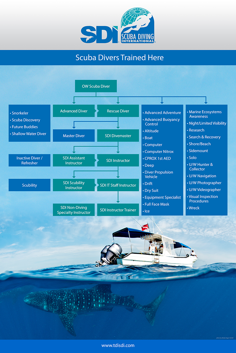 sdi flowchart