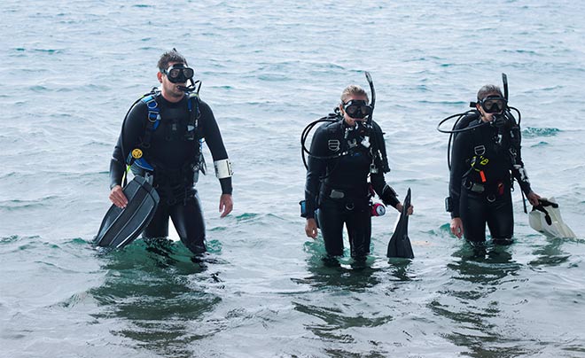 Wetsuit vs Drysuit in Scuba Diving – The Differences between the