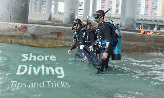 Shore_Diving shore-diving