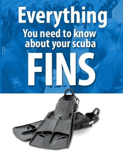 Everything you need to know about scuba fins
