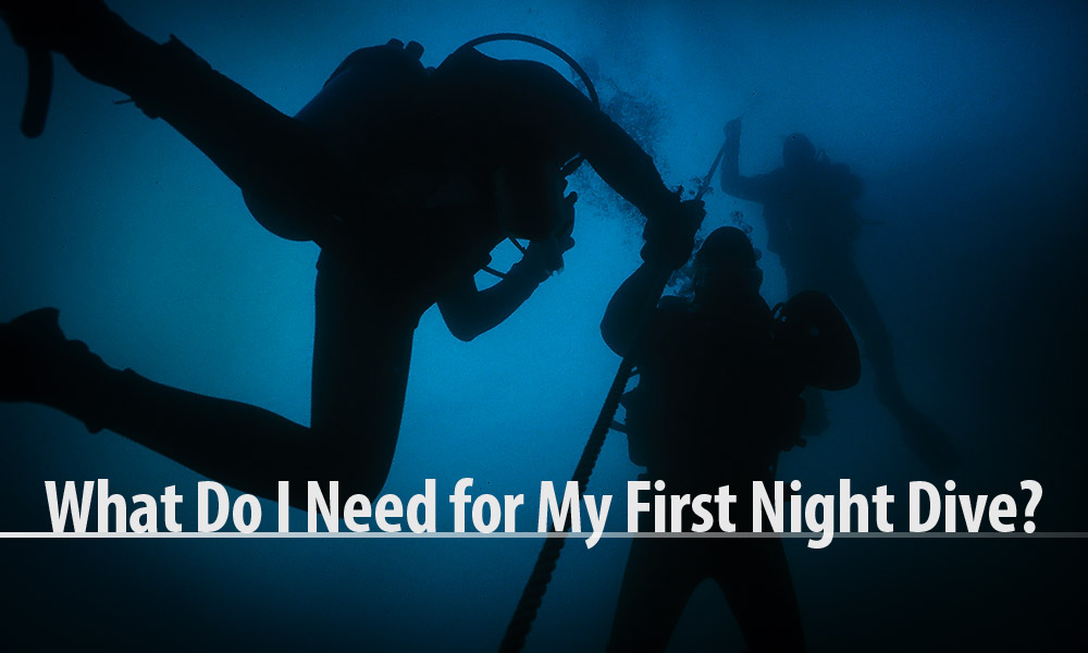what_do_i_need_for_my_first_night_dive_v2 Night Dive