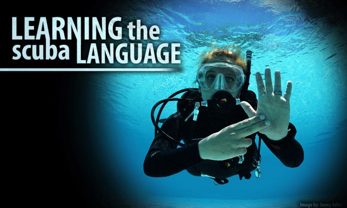 Scuba-language