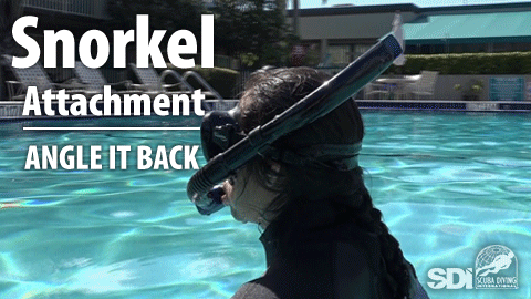 Snorkel Attachment Angle it back