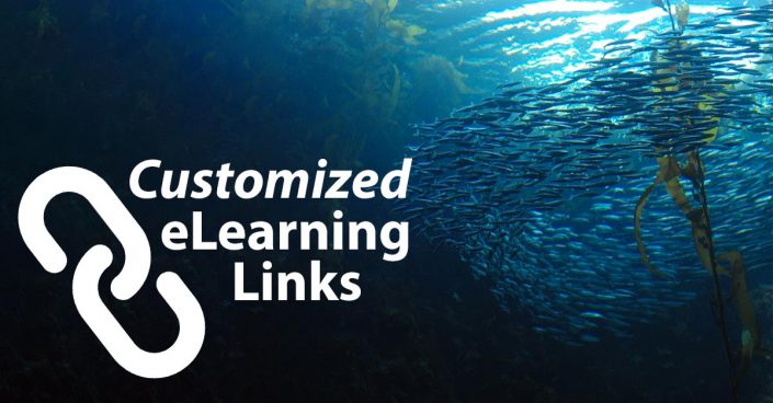 Custom-eLearning-Links