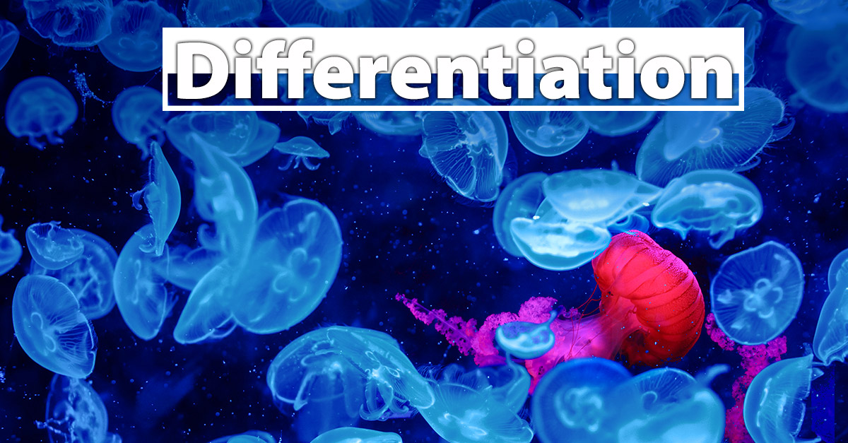 Differentiation_FB jelly-fish-differentiation