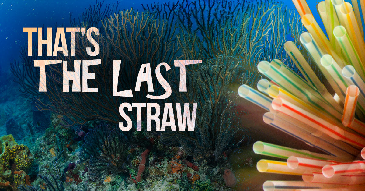 That-is-the-last-straw_fb_v1 straws