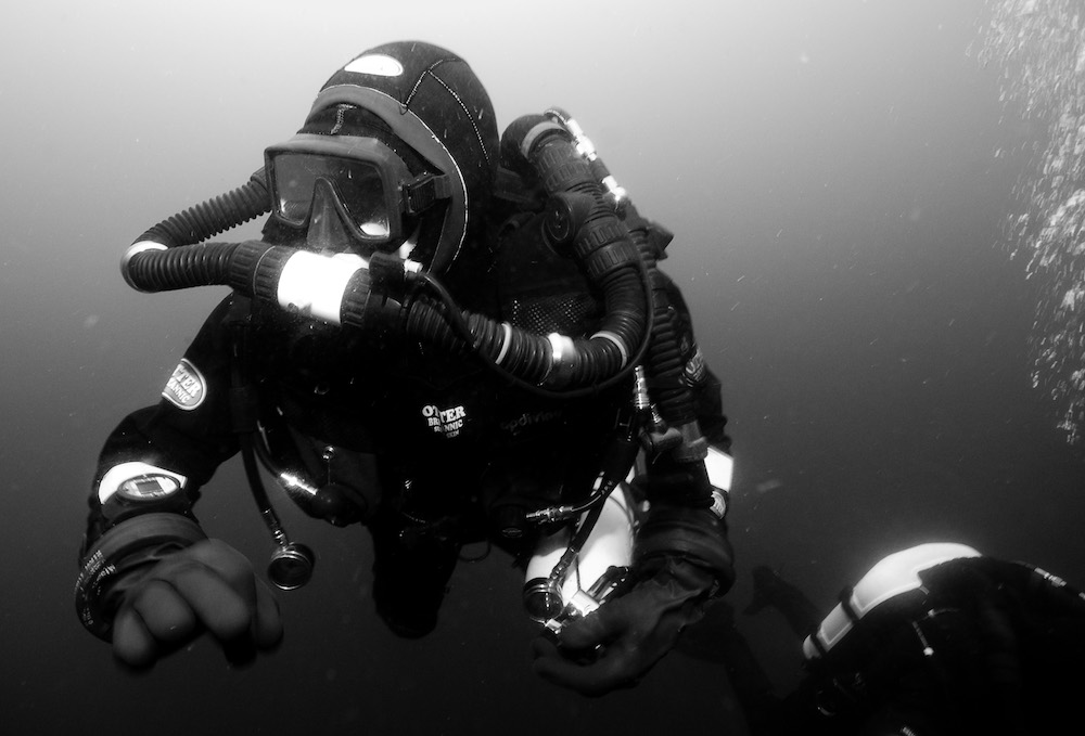 Black and white Diver Black and white Diver