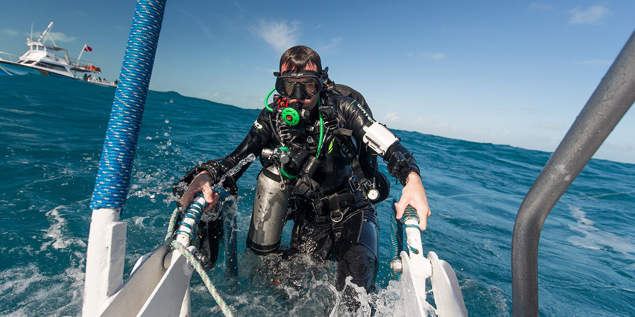 ladder-sdi diver ladder SDI