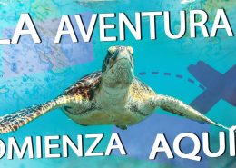 spanish la aventura bucea