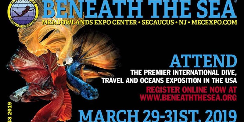 beneath the sea flyer beneath the sea