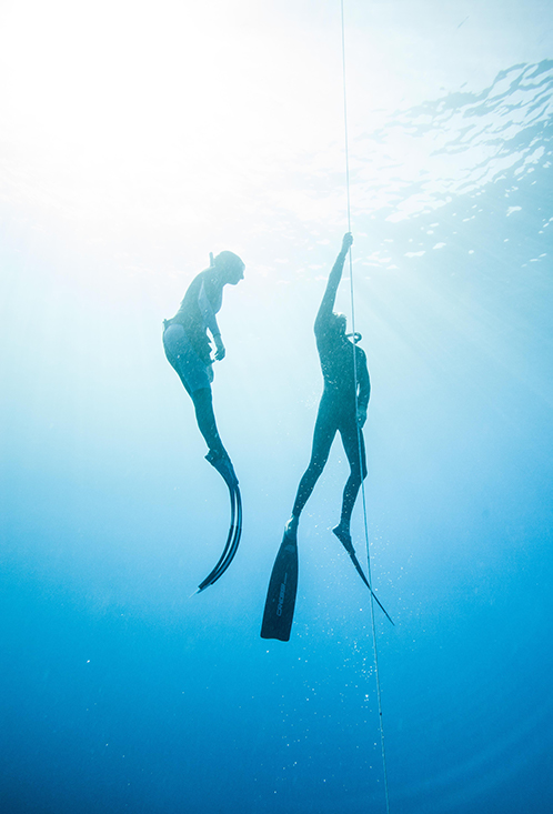 Freedive-Buddy-2-7-19