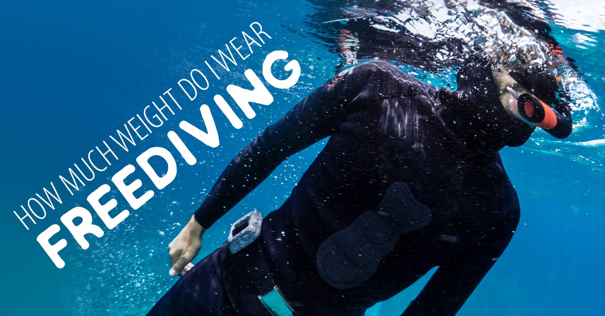 How-much-weight-do-I-wear-freediving_FB freediving