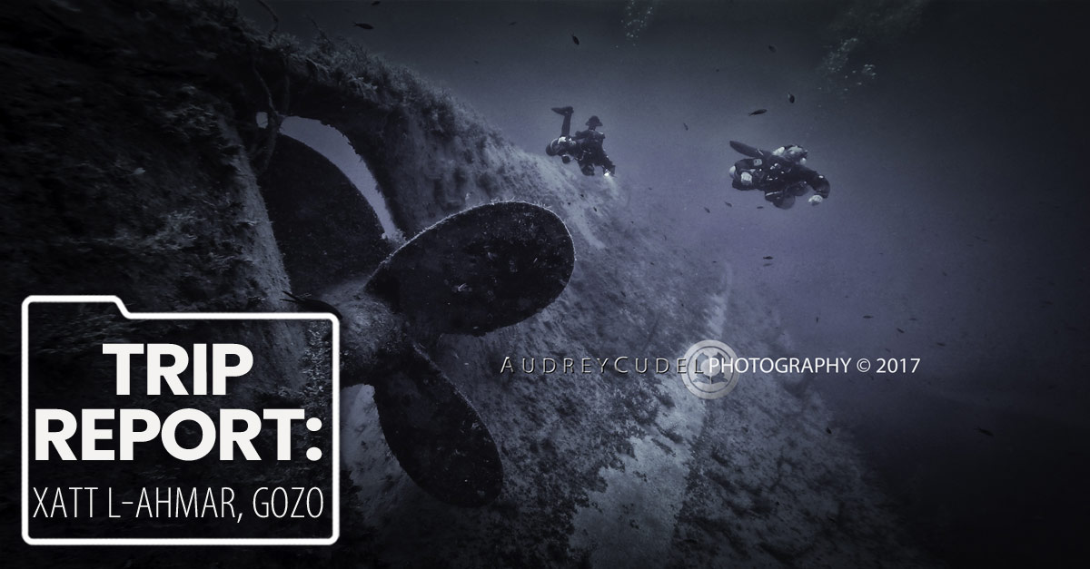Diving-Malta_FB trip report xatt l-ahmar