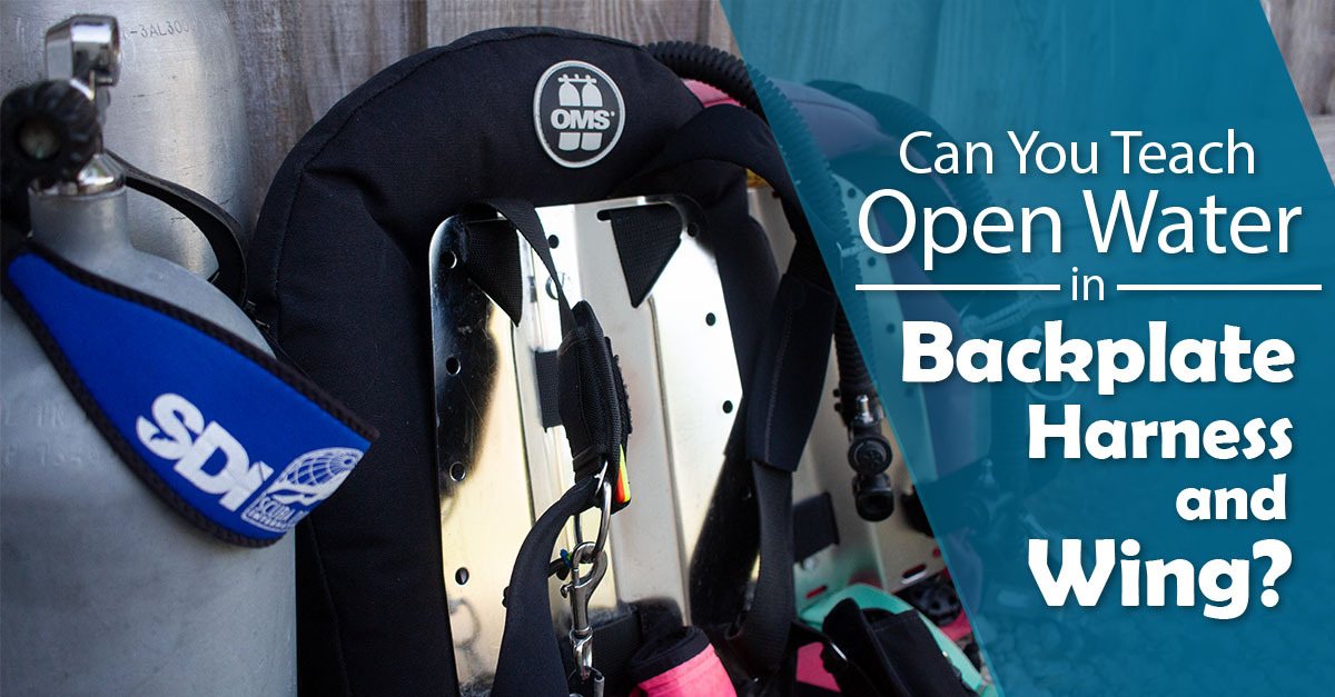 Can You Teach OW in Backplate_FB