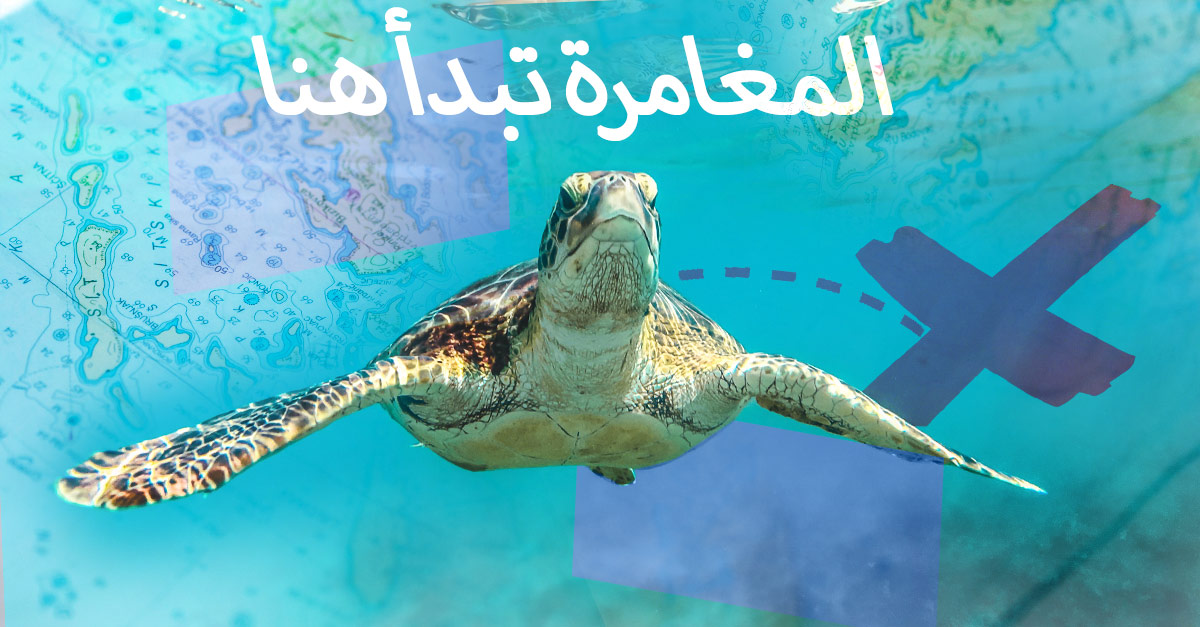 The-Adventure-begins-here_fb_v1-Recovered-1