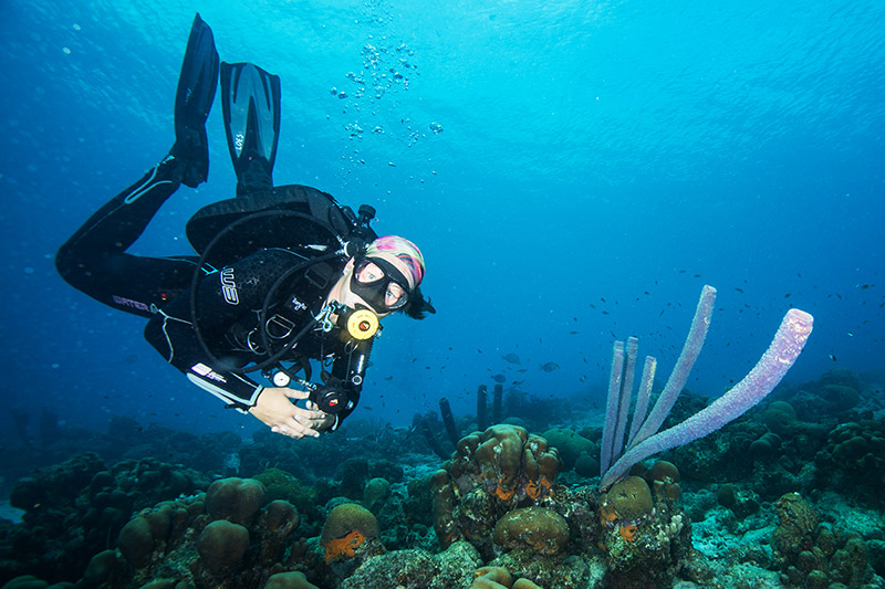 I Don’t Dive” International Training SDI TDI ERDI