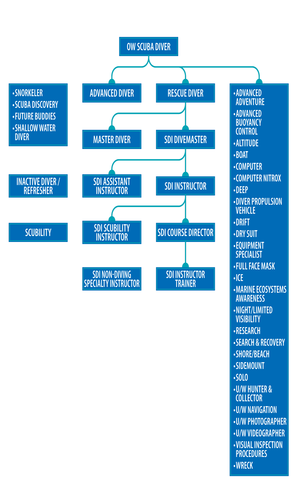 a Certified Scuba Diver International Training SDI TDI