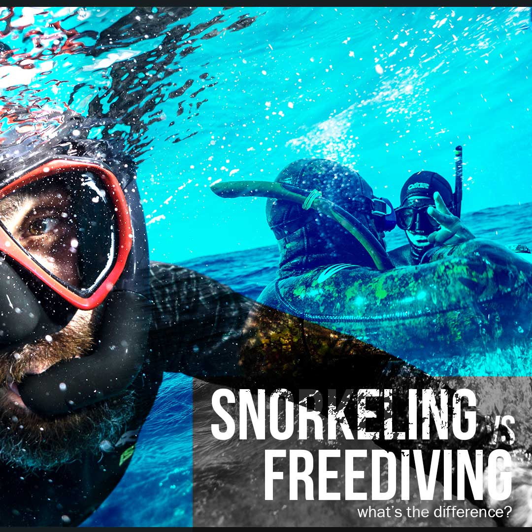 snorkeling-vs-freediving_Insta
