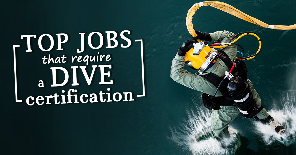 Top Jobs in Scuba Diving - International Training - SDI