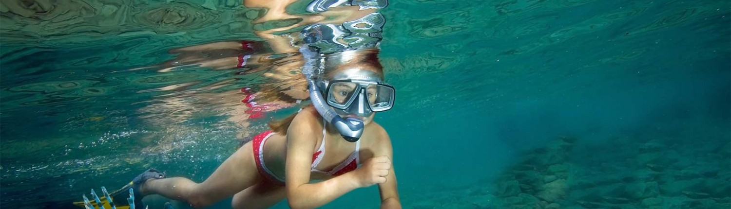 Dollarphotoclub_-1500x430