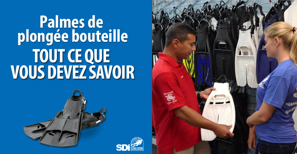 Everything-you-need-to-know-about-fins_FR