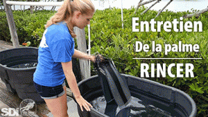 care_1_text__FR-300x169