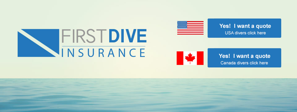 First Dive Insurance