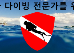 Insurance Page Banner Korean