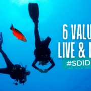 Six values to live and dive by