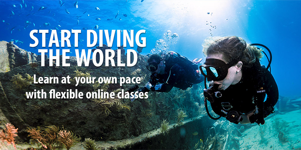International Training – SDI | TDI | | PFI – Learn to Dive and Advance Your