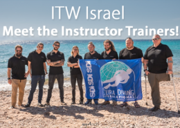 Instructor Trainer Workshop