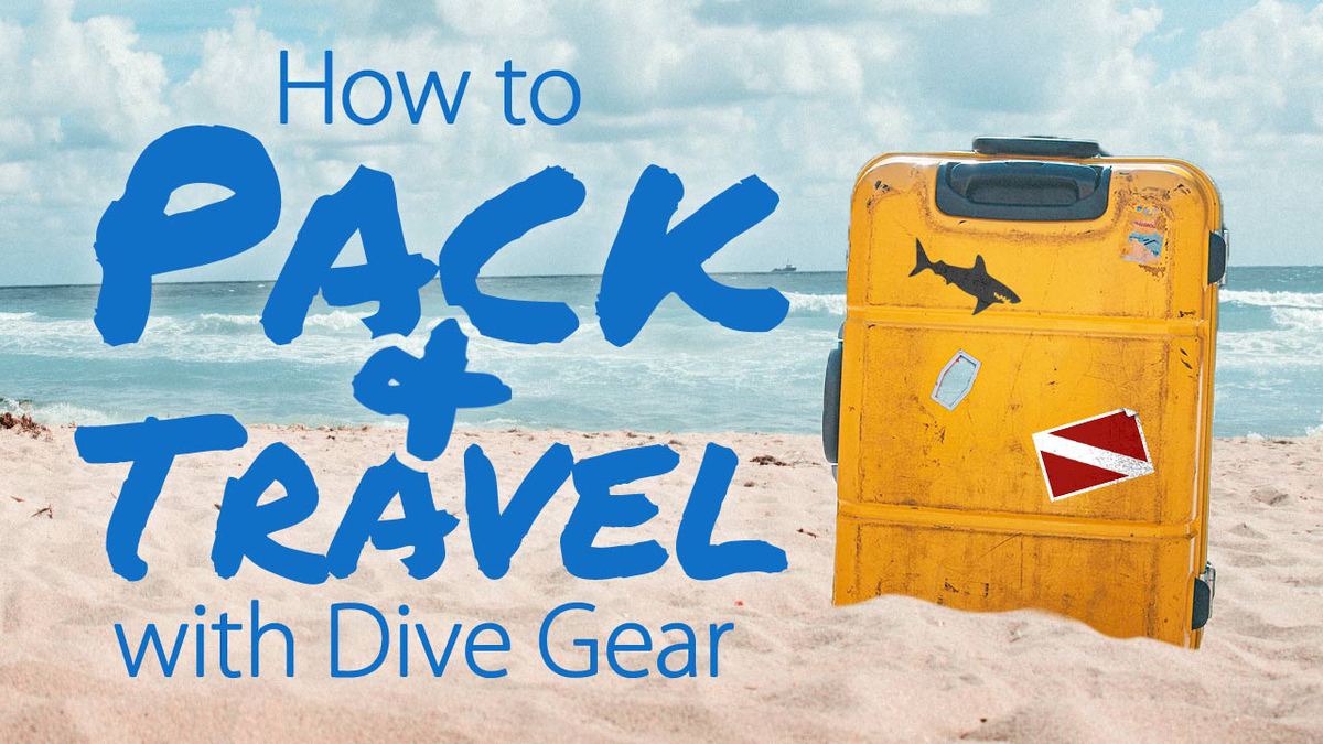 How to Pack and Travel with Dive Gear