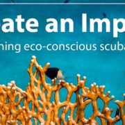 Eco-Conscious Scuba Diving