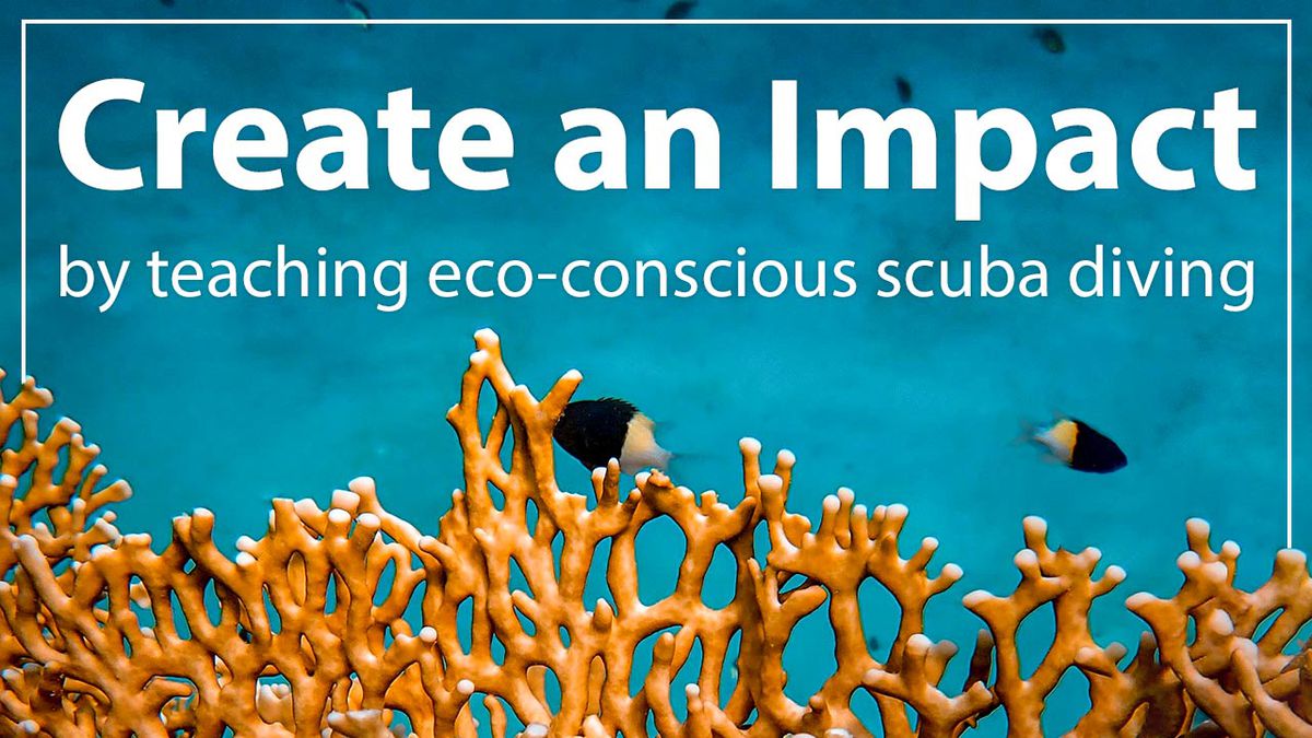 Eco-Conscious Scuba Diving