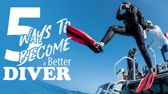 Better_Diver_1_1280x720