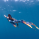mermaid freediving in open water