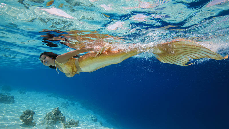 mermaid swimming over coral reef