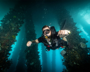 Justin Carmack Scuba Diving