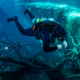 Nitrox Diver buoyant above branches underwater