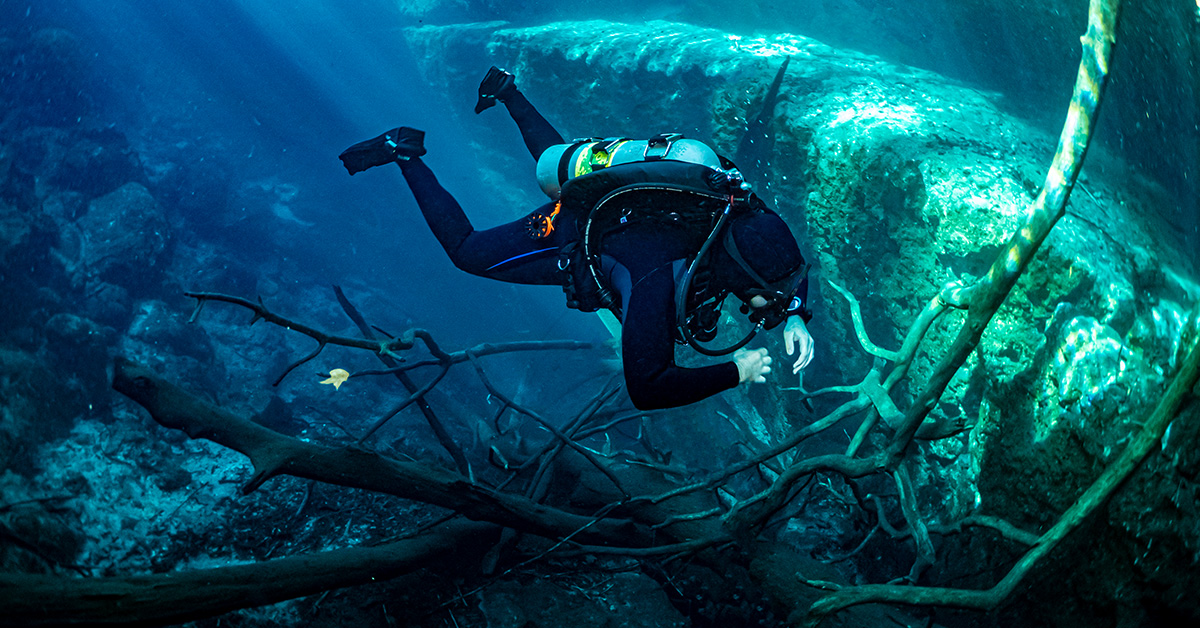 Nitrox Diver buoyant above branches underwater