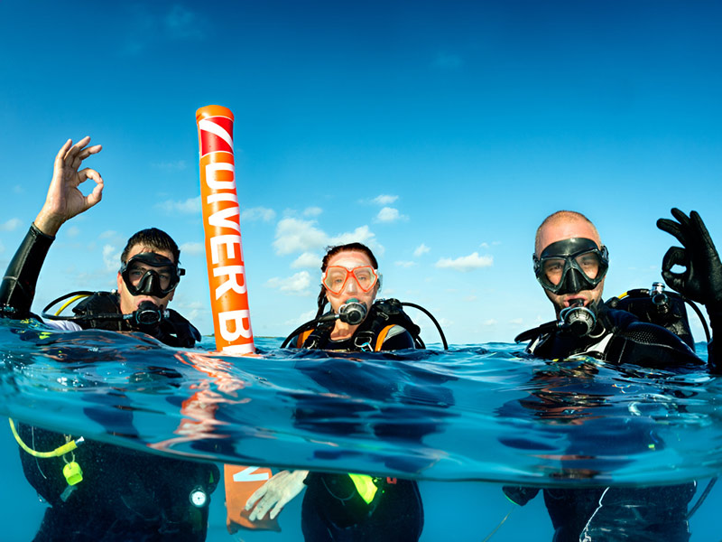 3 scuba divers at the surface signaling "okay"