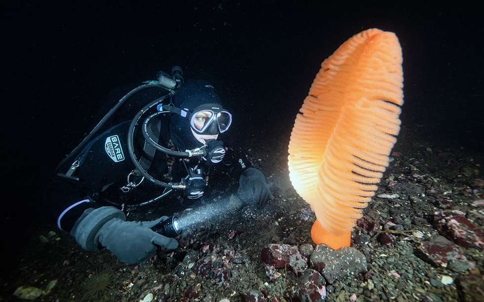 cold-water cold-water