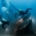 Transitioning_from_Sport_to_Tech_divingjpg