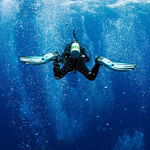 less-nitrogen less-nitrogen