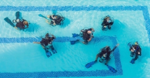Learning-to-Dive