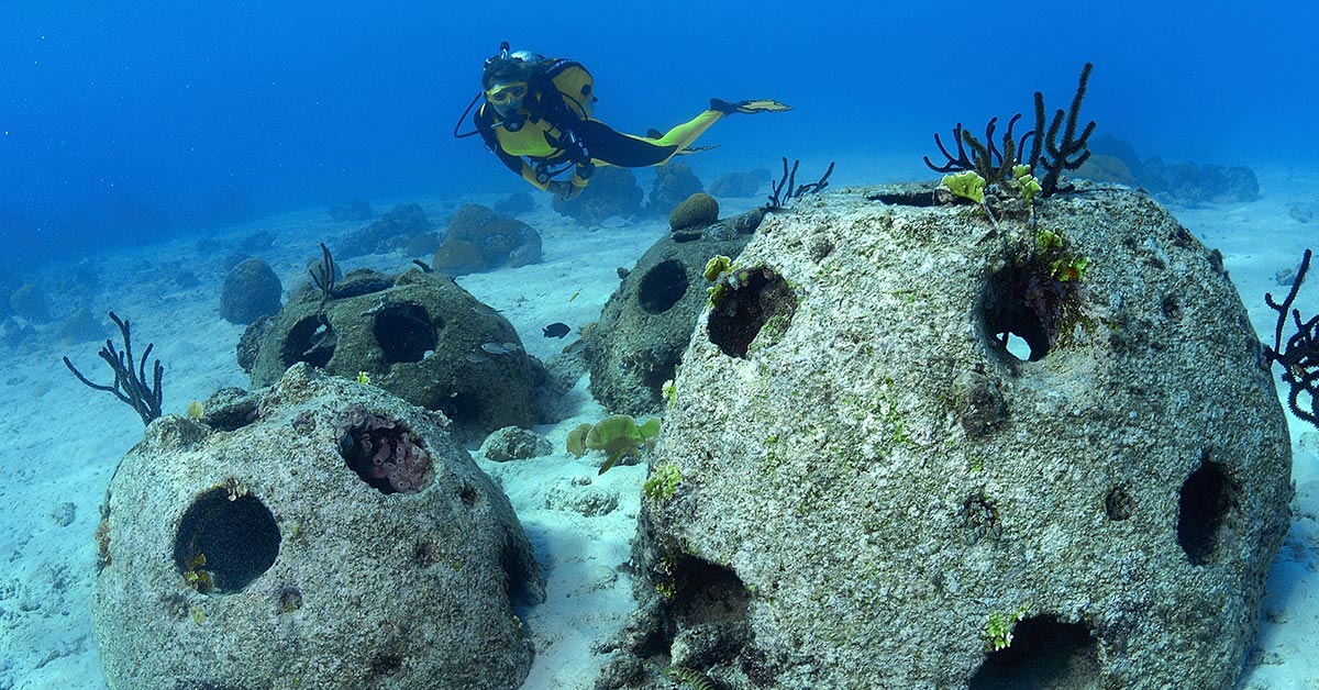 The-Beauty-of-Better