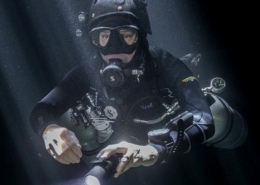 sdi-instructor-Christine-Loew